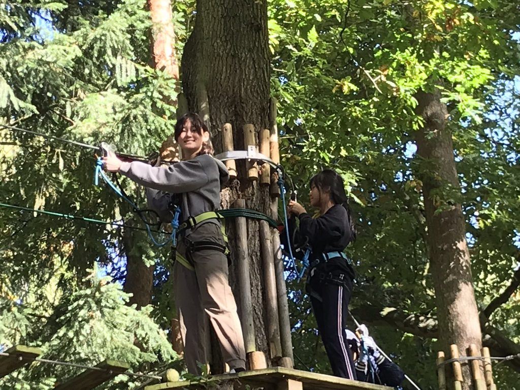 Go Ape Tilgate Park